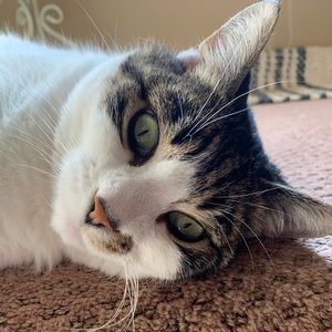 Meet your Posher, Lindsay